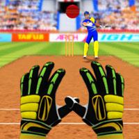 play Cricket Fielder