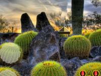 play Cactus Garden Escape