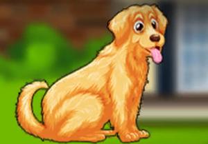 play Baby Golden Retriever Dog Rescue