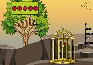 play Wild Woodpecker Escape