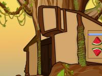 play Wild Woodpecker Escape