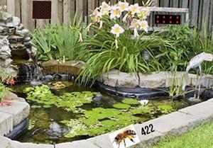 play Dream Backyard Escape
