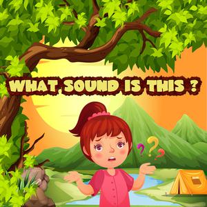 play What Sound Is This ?