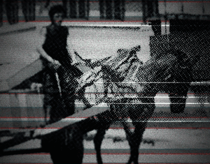 play Caballos Blancos