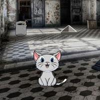 play Wow-Abandoned Cat Brother Escape Html5