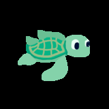 play Shelly The Turtle