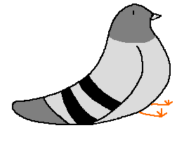 play Pigeon Maintaining