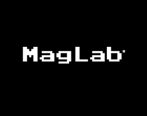 play Maglab - Ebitengine Game Jam 2022