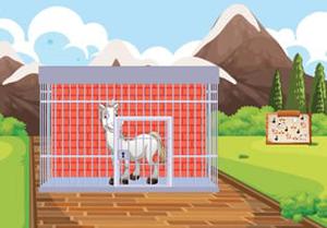 play White Horse Rescue