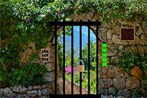 play Dream Backyard Escape