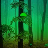 G2R-Mistful Forest Escape Html5
