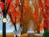 play Autumn Zebra Forest Escape
