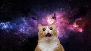 play Space Cats