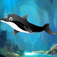 play G2R-Trapped Dolphin Escape Html5
