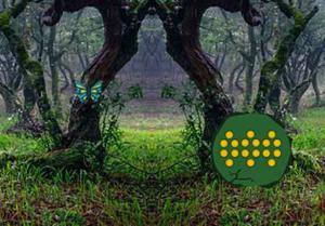 play Dense Wet Forest Escape