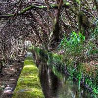 play Wow-Wet Forest Escape Html5