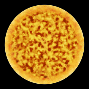 play Doms Toppings Test