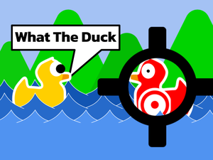 play What The Duck