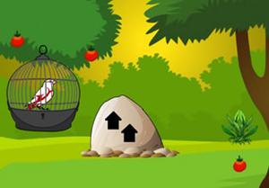 play White Bird Escape