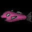 play Rouge Haddock