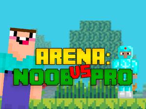 play Arena: Noob Vs Pro