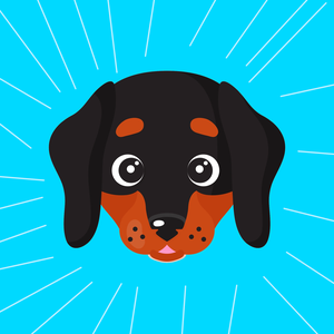 play Flying Dog Easy