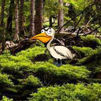 play Rescue Little Cheetah Html5