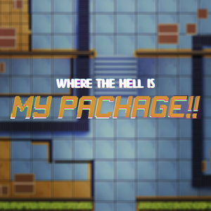play Where The Hell Is My Package!!