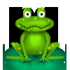 play Frogs!