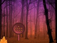 play Dark Foggy Forest Escape