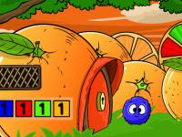 play Budgerigar Family Escape