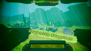 play Organish Seagreen