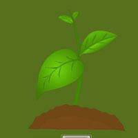 play Escape From Plant Forest Html5