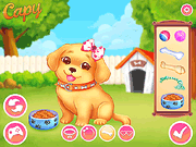 play My Cute Pet Care