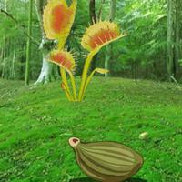 play G2R-Escape From Plant Forest Html5