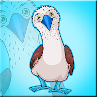 play G2J Boobies Bird Escape