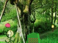 play Escape From Plant Forest