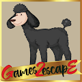 play G2E Black Poodle Rescue Html5