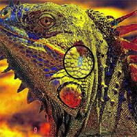 play -Wild-Colorful-Iguanas