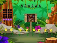 play G2M Tortoise Escape 1 Html5