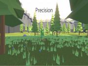 play Precision