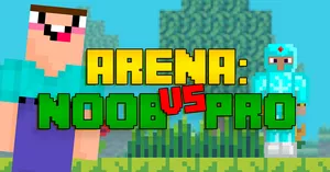 play Arena: Noob Vs Pro