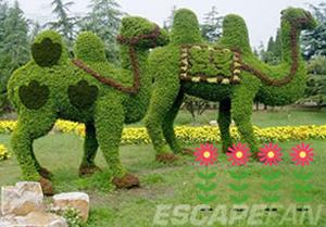 play Green Animals Topiary Garden