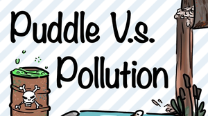 play Puddle Vs. Pollution