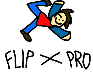 play Flip Pro