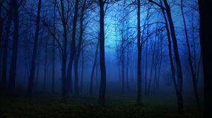 play Spongebob In Dark Forest