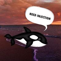 play Big-Help The Sick Whale Html5