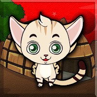 play G2J Sand Cat Escape