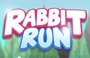 play Rabbit Run - Play Free Online Games | Addicting