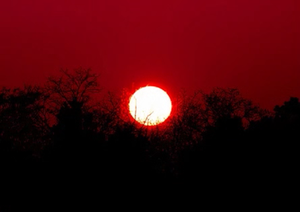 play The Fractured Sun